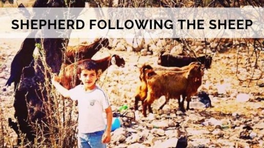 Shepherd Following the Sheep